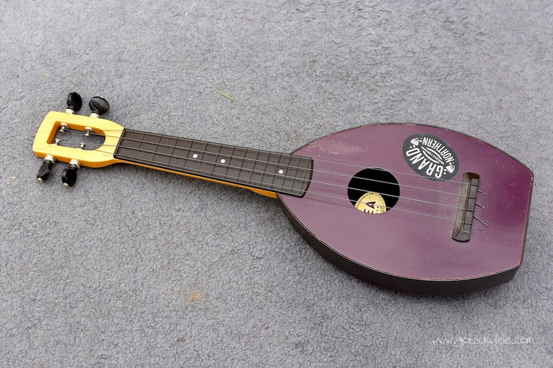 Lộ Trình Học Đàn Ukulele