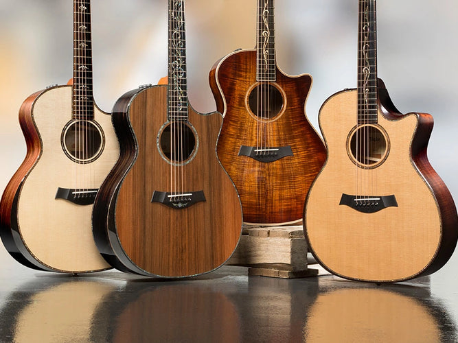 Acoustic Guitar Taylor và Takamine Khác Gì Nhau?