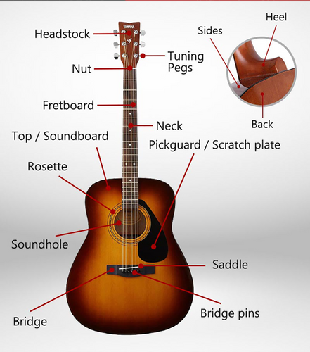 Các Bộ Phận Của Đàn Guitar Acoustic