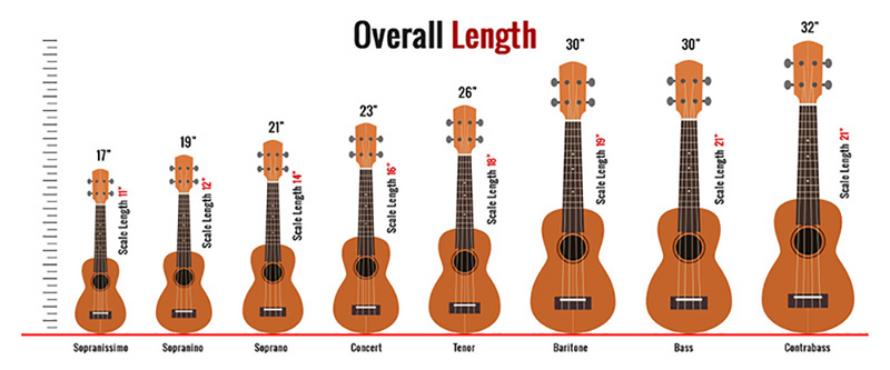 8 Kích Cỡ Ukulele Khác Nhau (Từ Nhỏ Nhất đến Lớn Nhất)