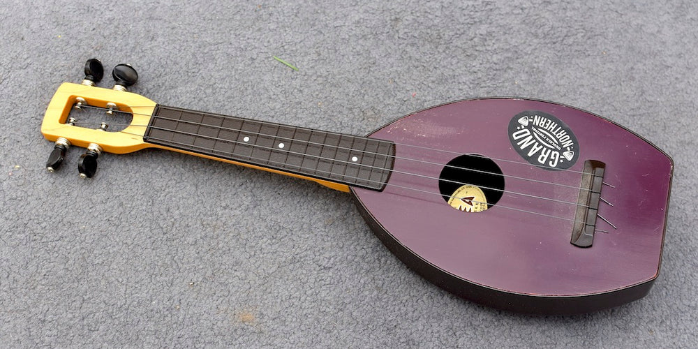 Lộ Trình Học Đàn Ukulele