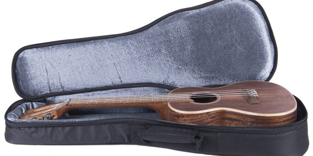 Các Loại Bao Bảo Quản Đàn Ukulele