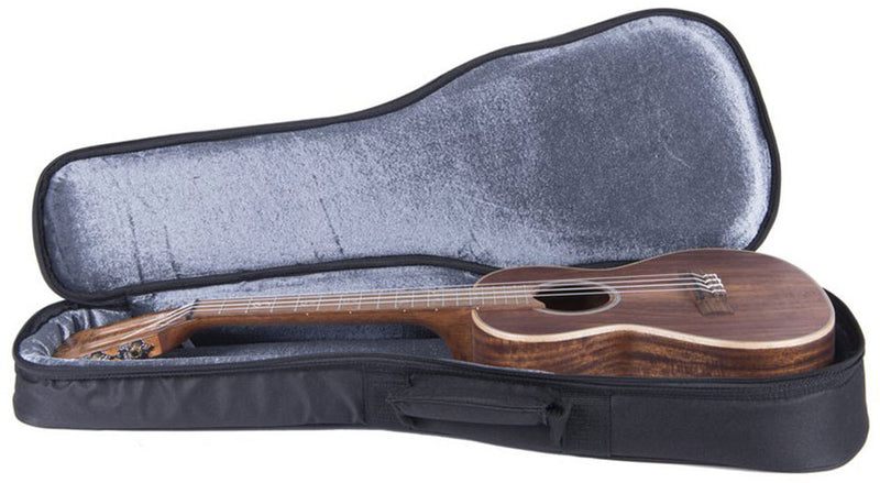 Các Loại Bao Bảo Quản Đàn Ukulele