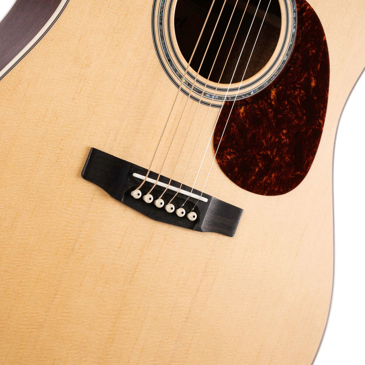Đàn Guitar Acoustic Cort Earth100