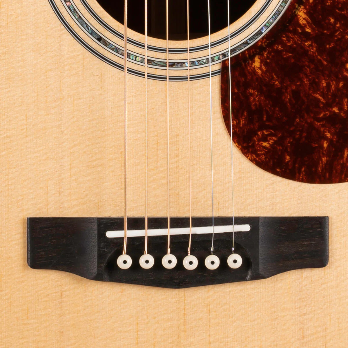 Đàn Guitar Acoustic Cort Earth100