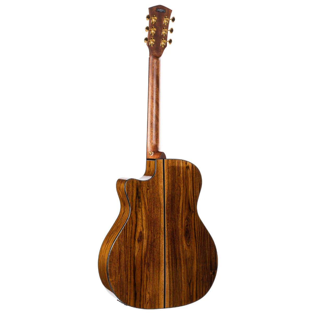Đàn Guitar Acoustic Cort Gold A6 Bocote