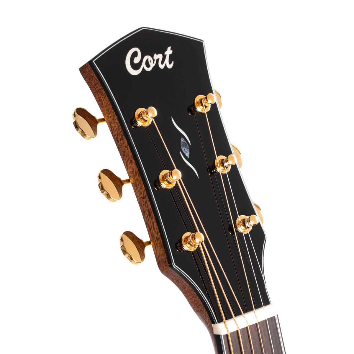 Đàn Guitar Acoustic Cort Gold A6 Bocote
