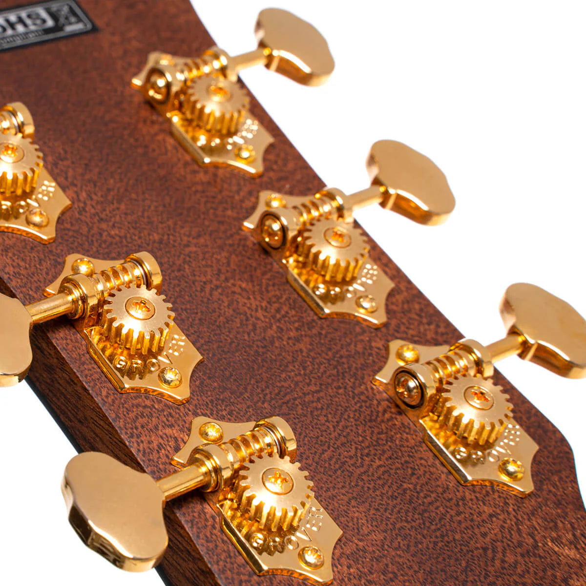 Đàn Guitar Acoustic Cort Gold A6 Bocote