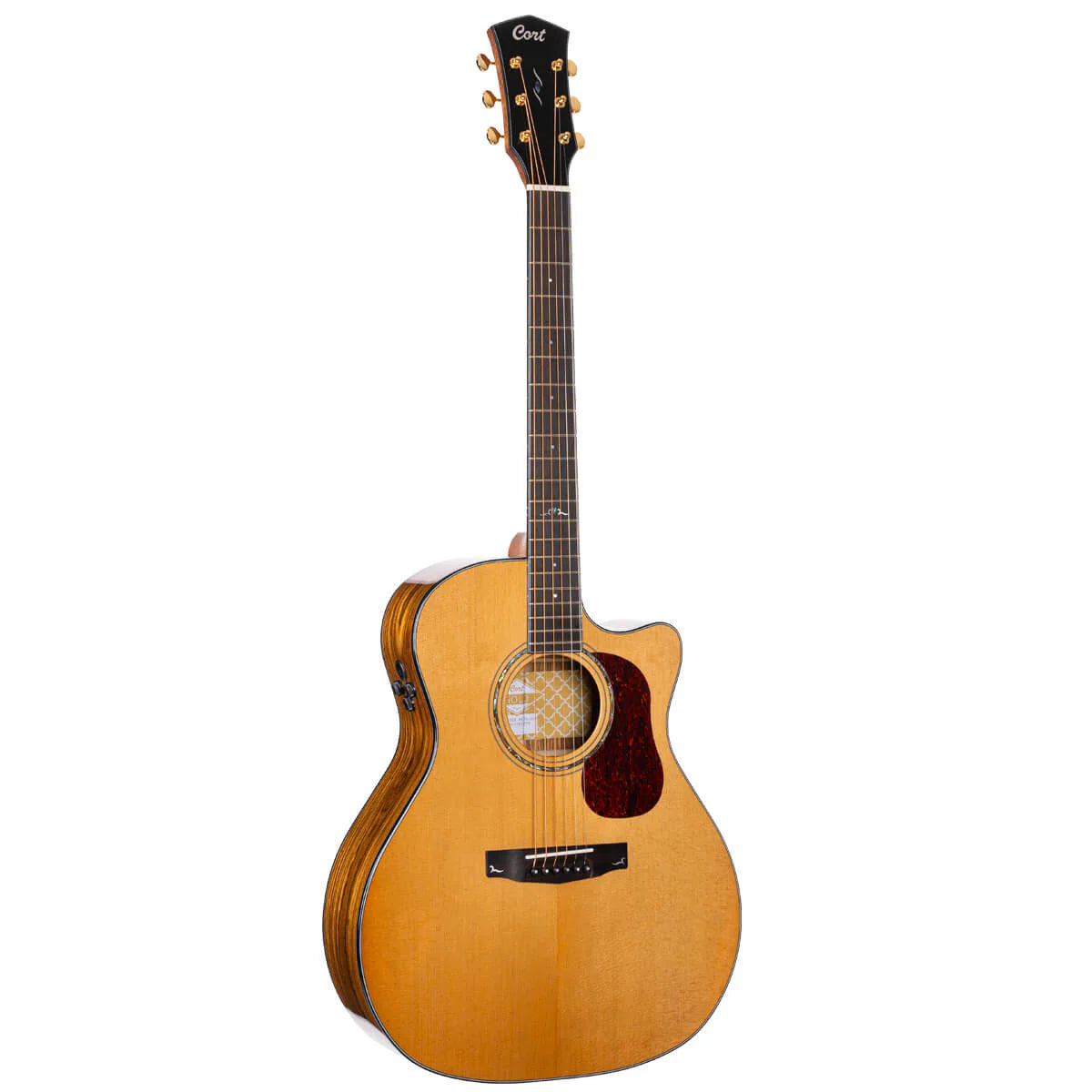 Đàn Guitar Acoustic Cort Gold A6 Bocote