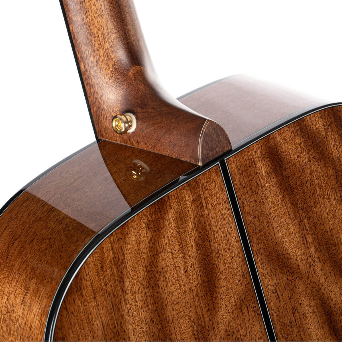 Đàn Guitar Acoustic Cort Gold D6
