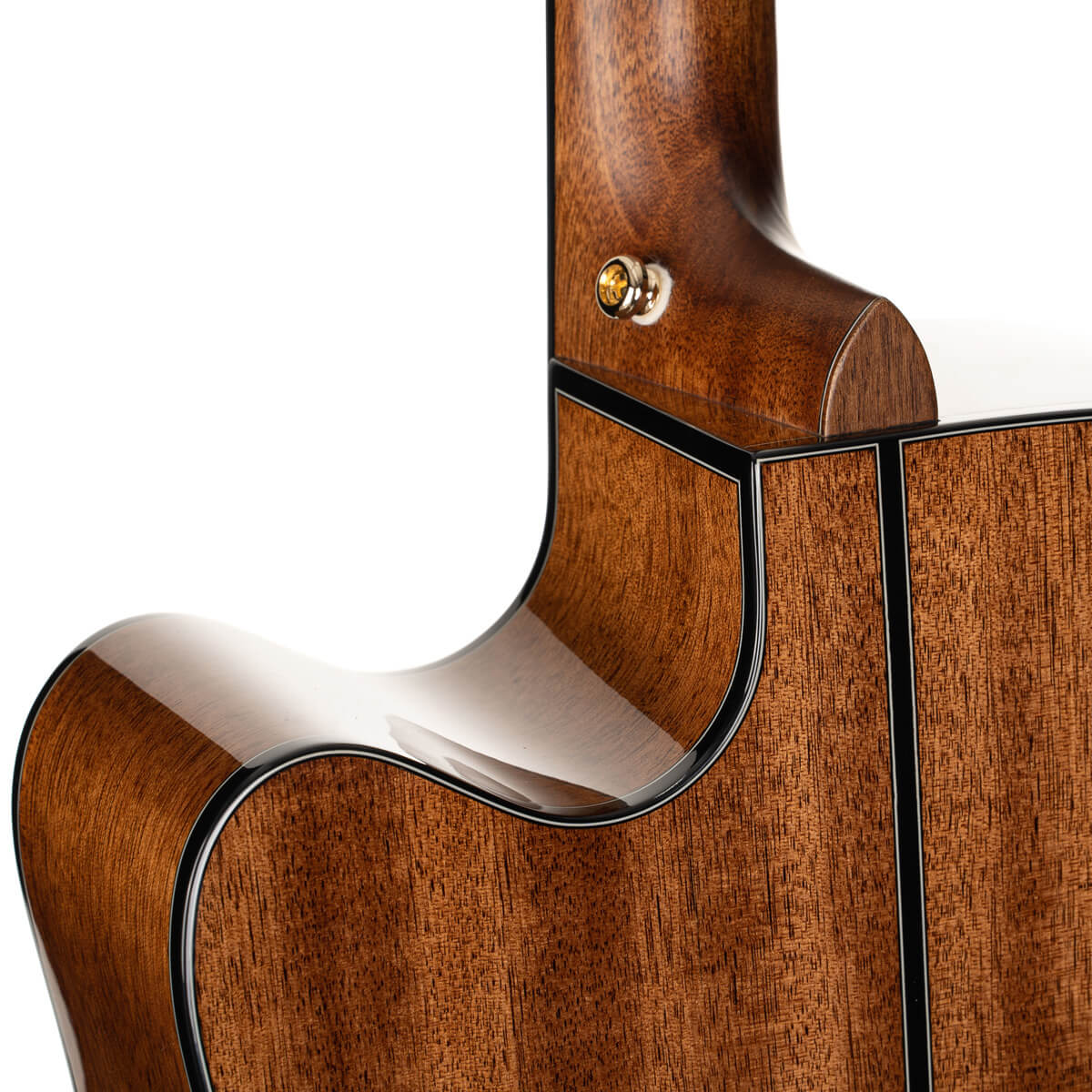 Đàn Guitar Acoustic Cort Gold DC6