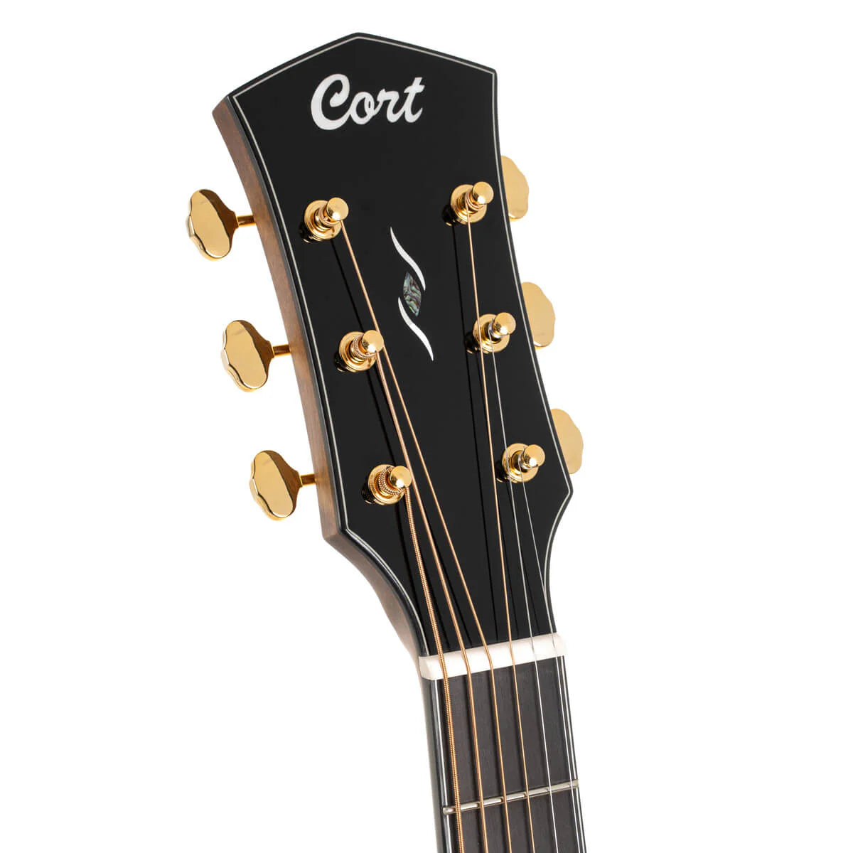 Đàn Guitar Acoustic Cort Gold DC6