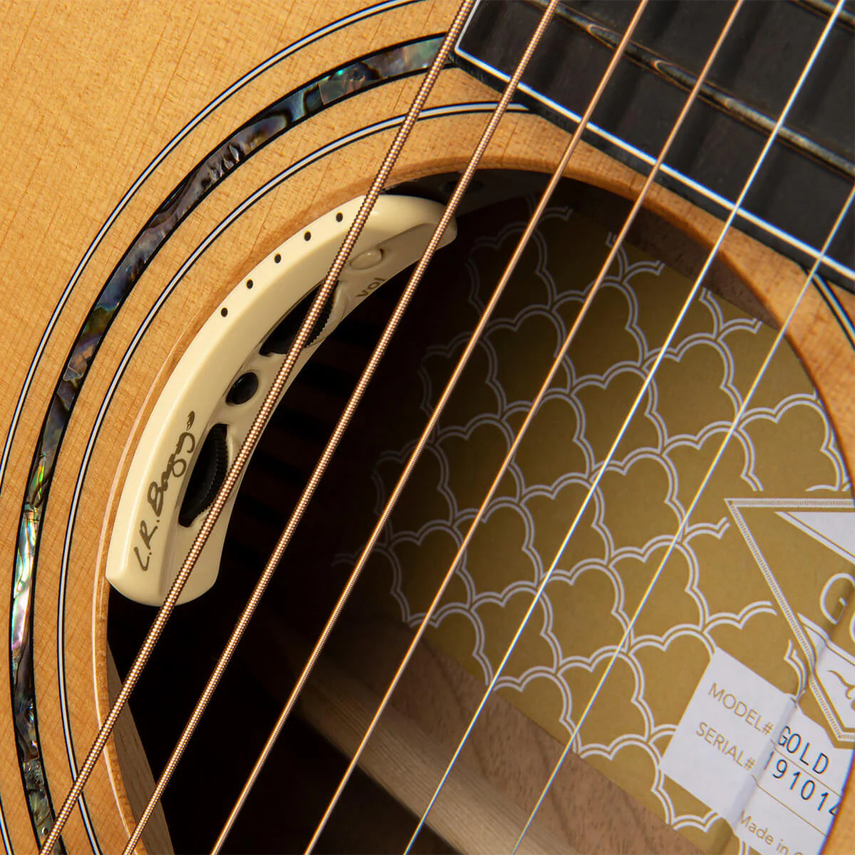 Đàn Guitar Acoustic Cort Gold Edge