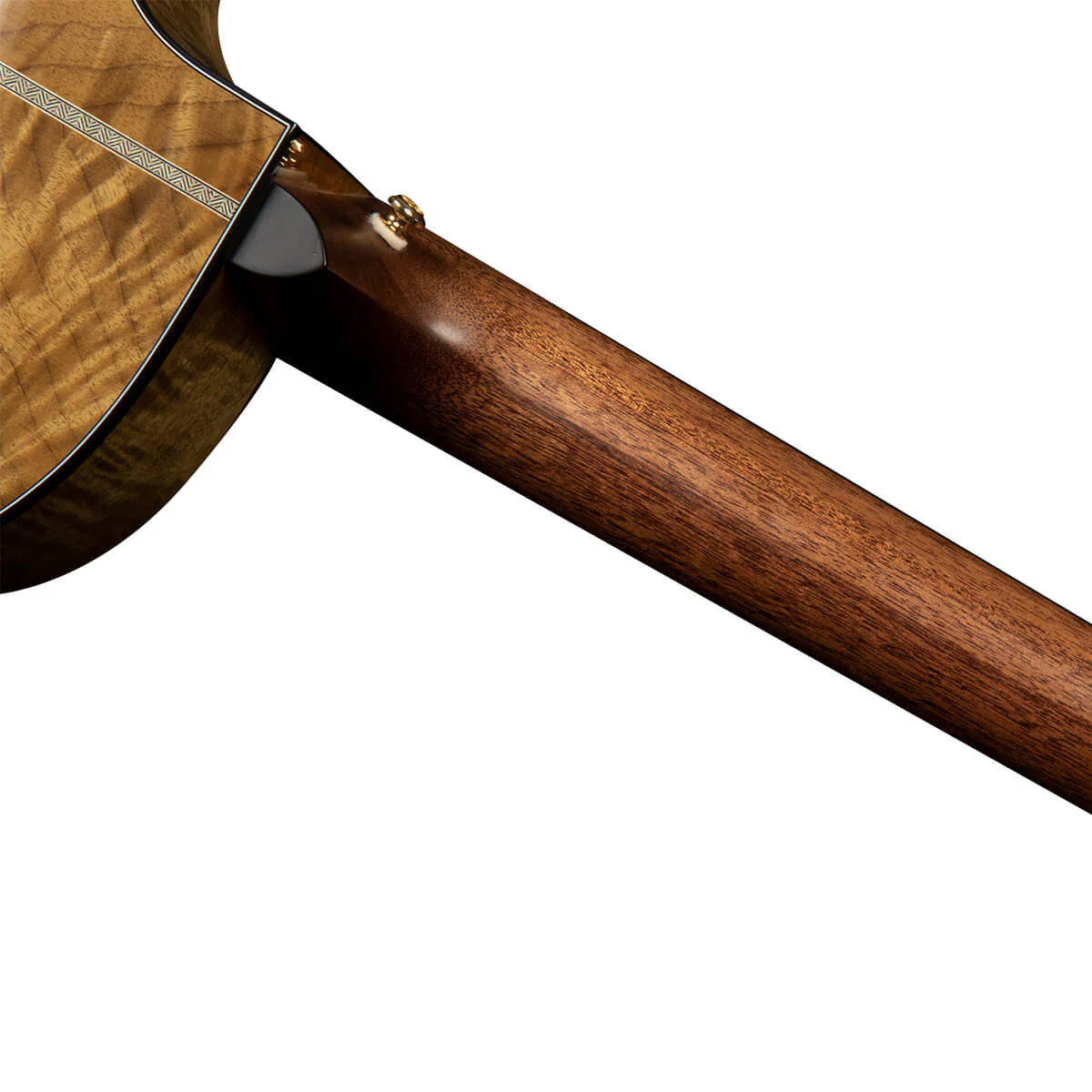 Đàn Guitar Acoustic Cort Gold Edge
