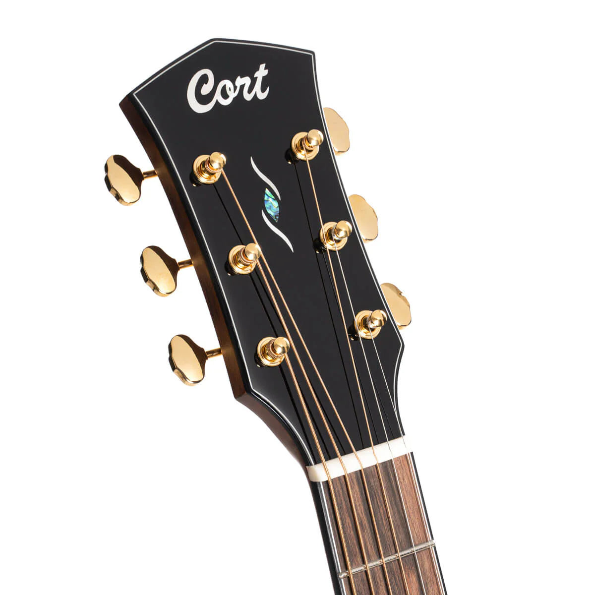 Đàn Guitar Acoustic Cort Gold OC6 Bocote