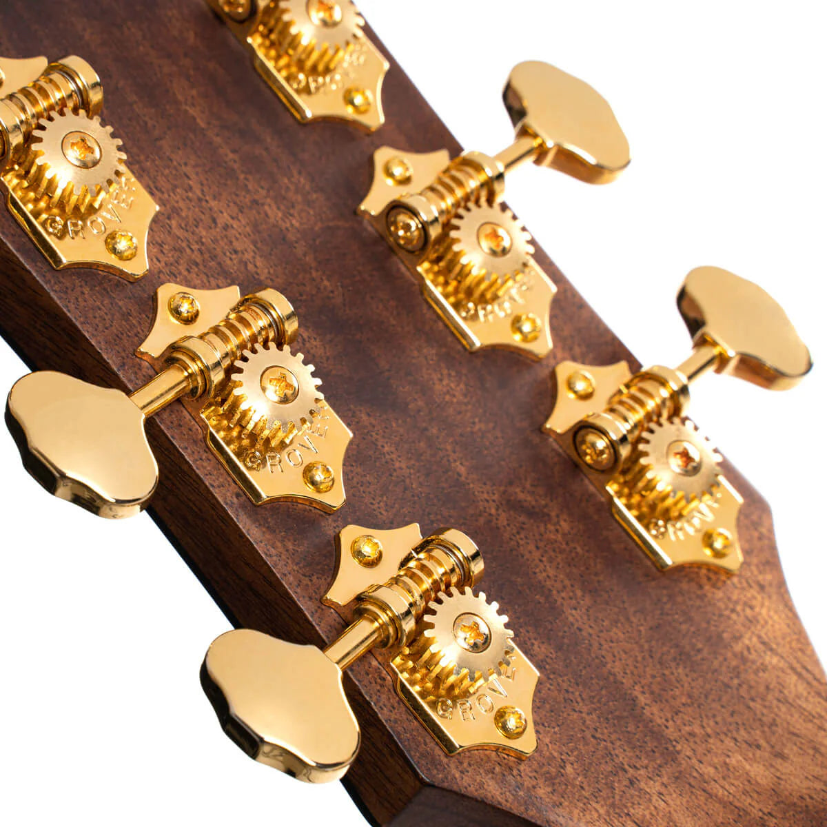 Đàn Guitar Acoustic Cort Gold OC6 Bocote
