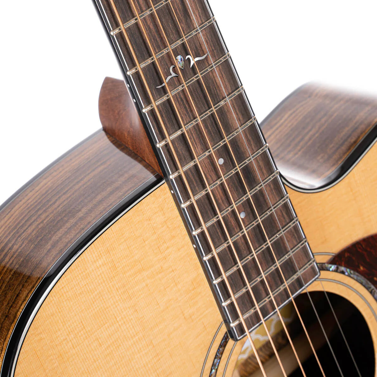 Đàn Guitar Acoustic Cort Gold OC6 Bocote