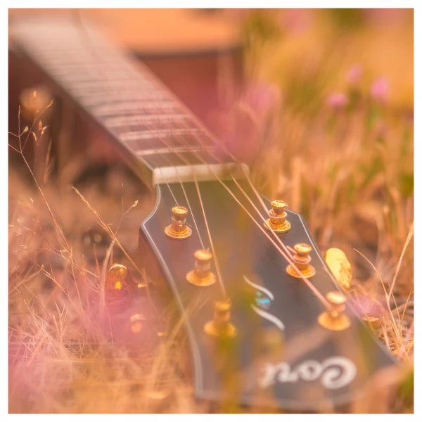 Đàn Guitar Acoustic Cort Gold OC6