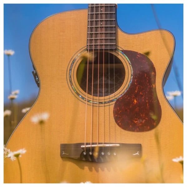 Đàn Guitar Acoustic Cort Gold OC6