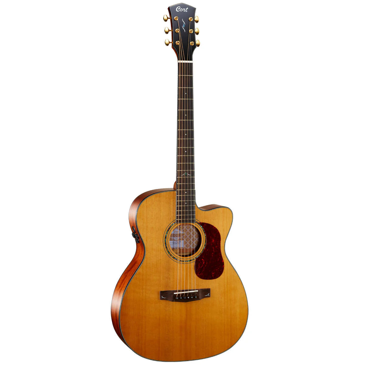 Đàn Guitar Acoustic Cort Gold OC6