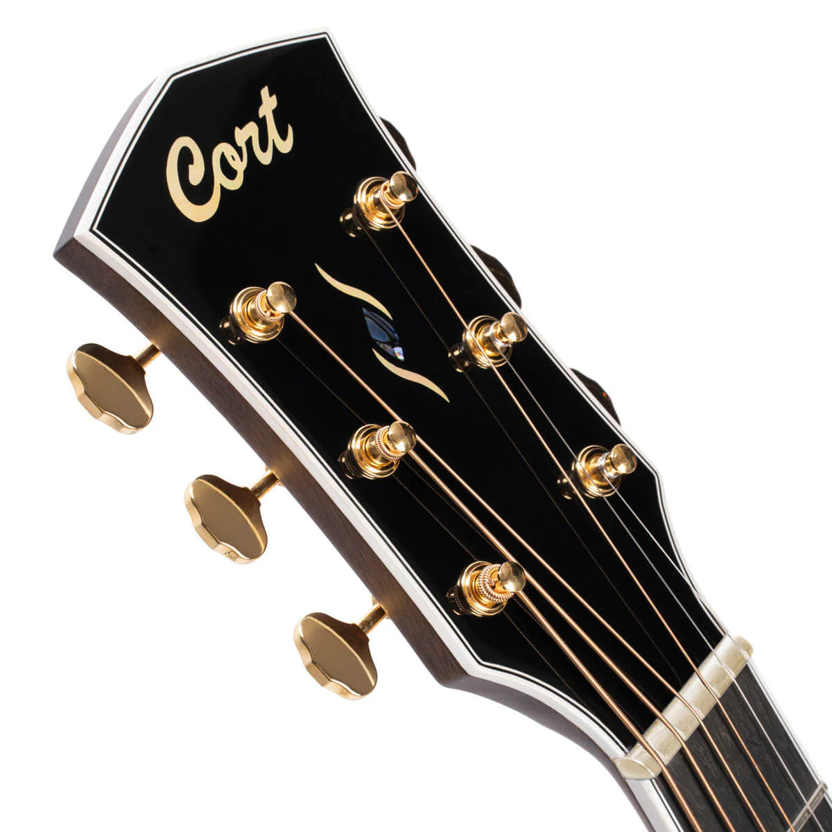 Đàn Guitar Acoustic Cort Gold OC8