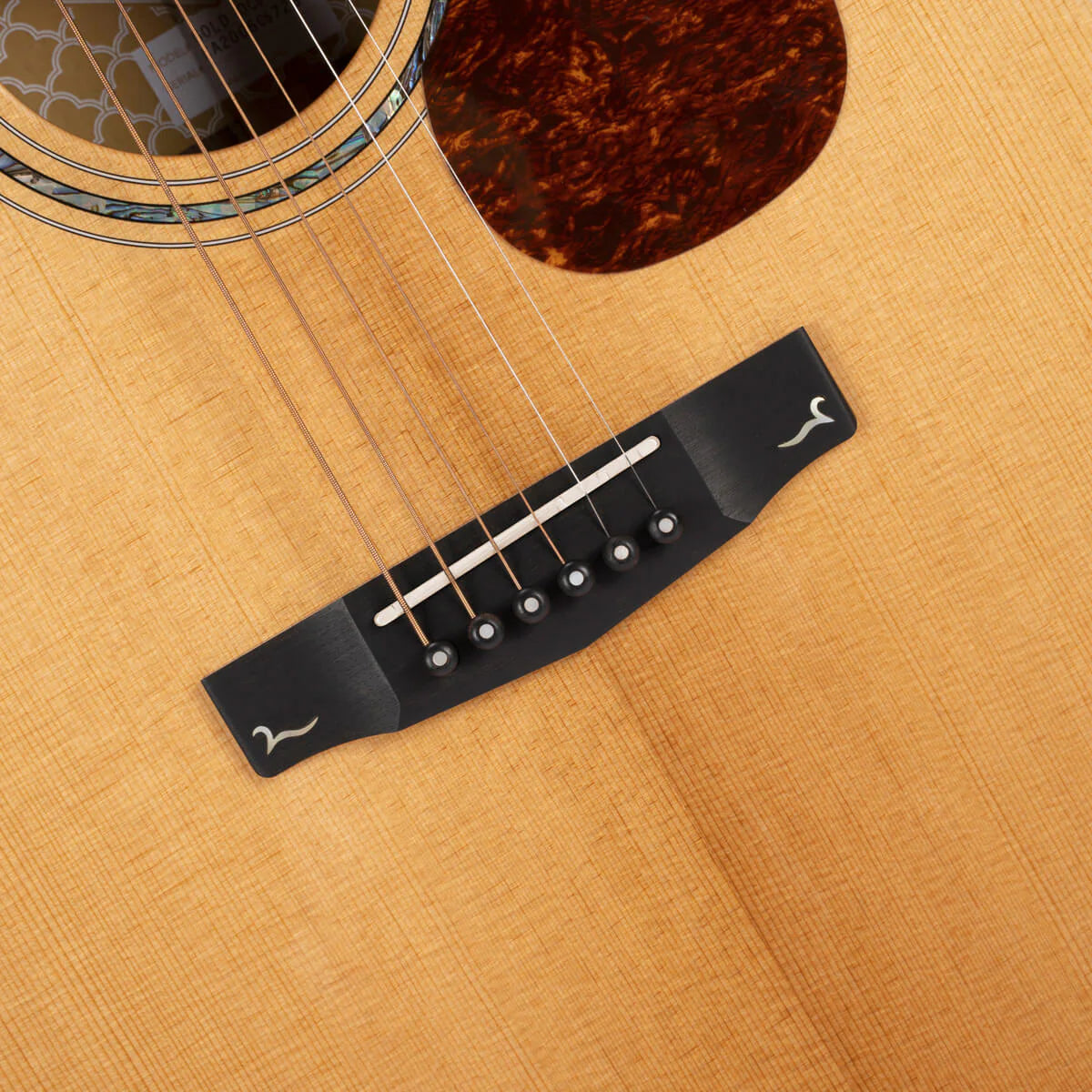 Đàn Guitar Acoustic Cort Gold OC8