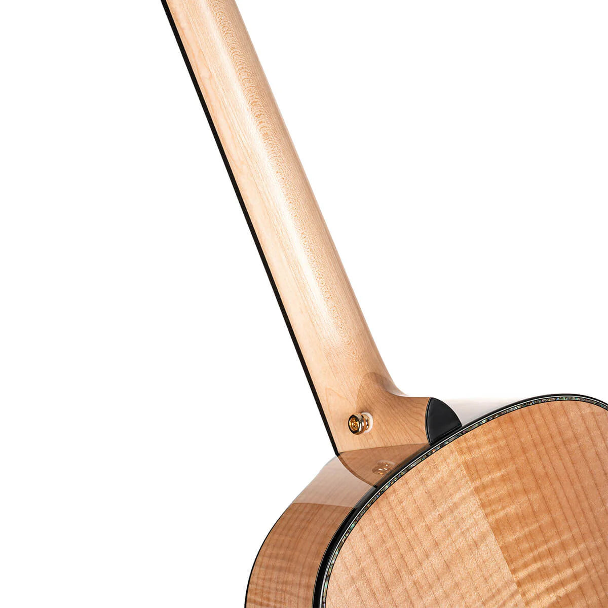 Đàn Guitar Acoustic Cort Gold Passion