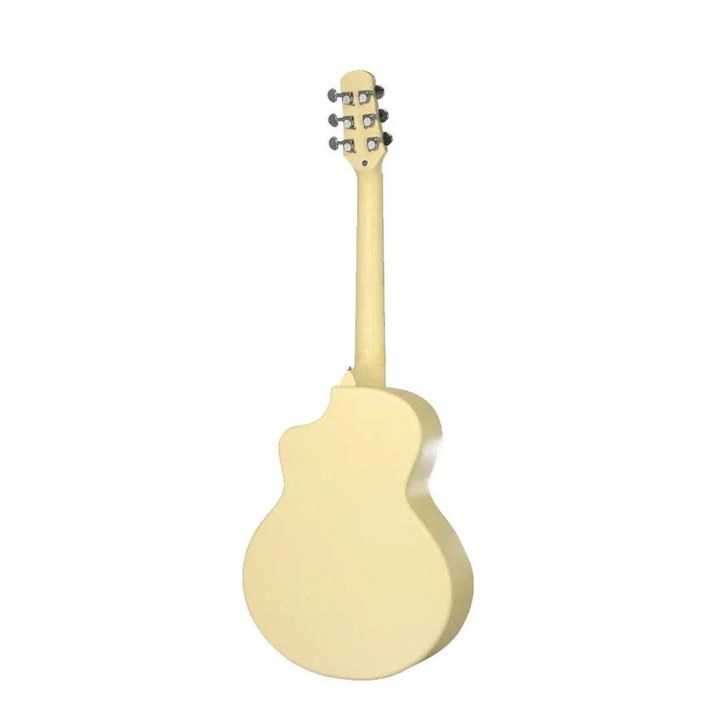 Đàn Guitar Acoustic Daisy D100 34 Inch Size 12