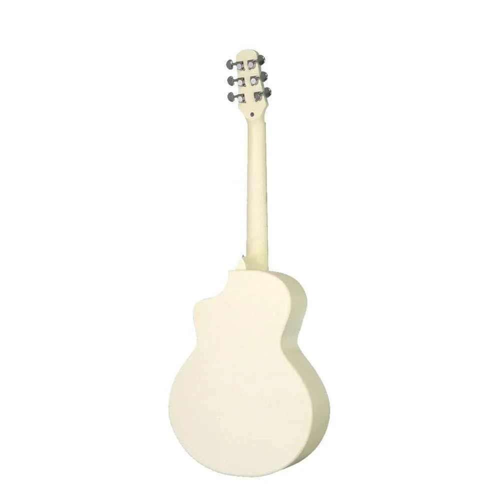 Đàn Guitar Acoustic Daisy D100 34 Inch Size 12