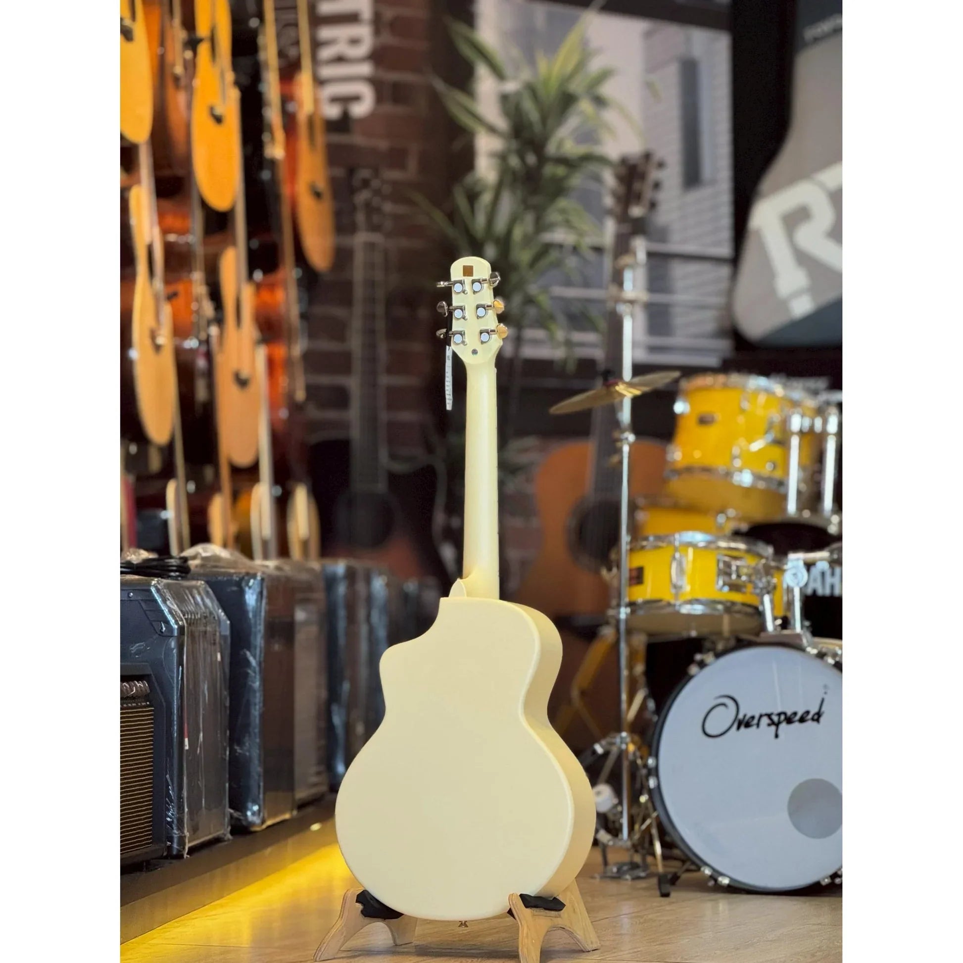 Đàn Guitar Acoustic Daisy D100 34 Inch Size 12