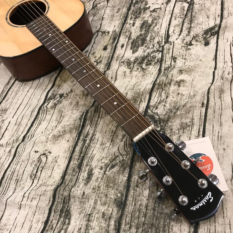 Đàn Guitar Acoustic Eastman PCH Series PCH-TG