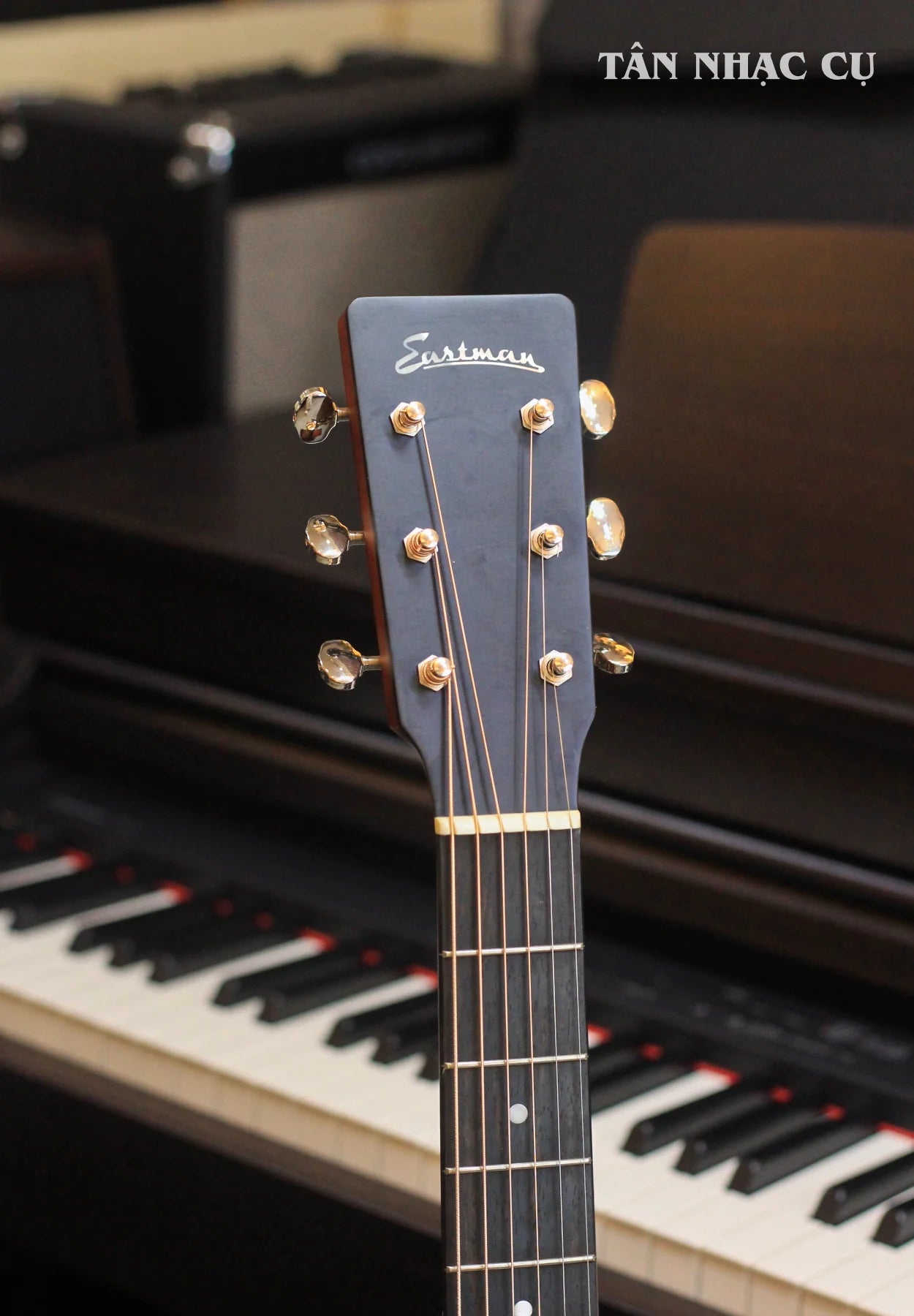 Đàn Guitar Acoustic Eastman Traditional Series E1D