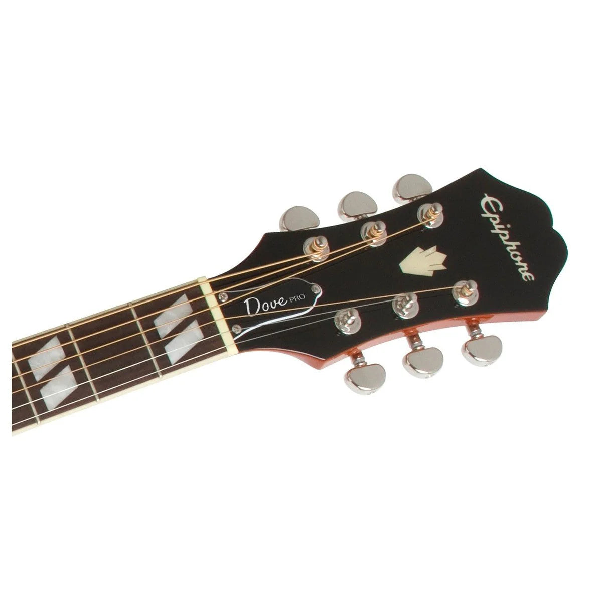 Đàn Guitar Acoustic Epiphone Dove Studio