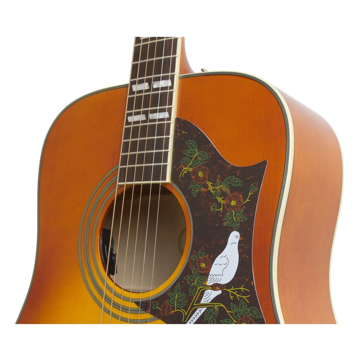 Đàn Guitar Acoustic Epiphone Dove Studio