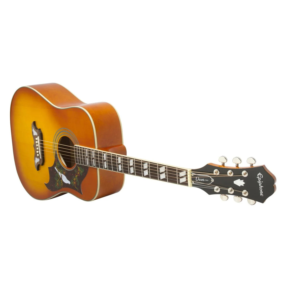 Đàn Guitar Acoustic Epiphone Dove Studio