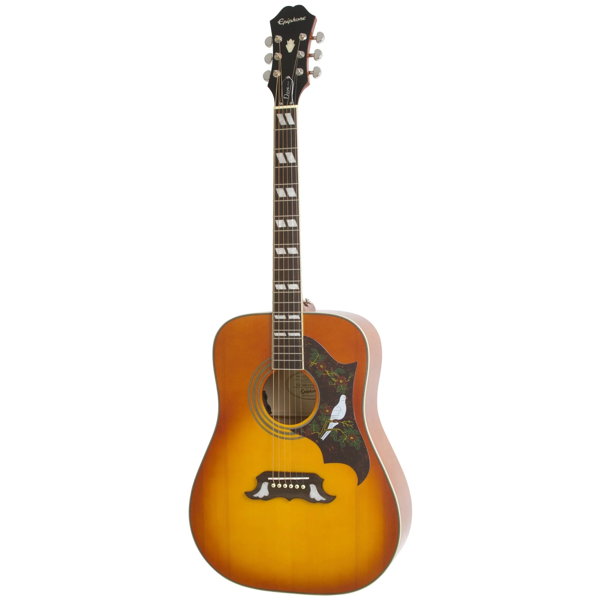 Đàn Guitar Acoustic Epiphone Dove Studio