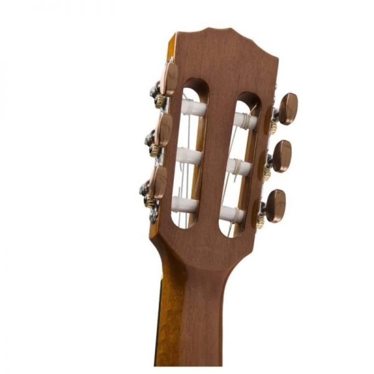 Đàn Guitar Acoustic Fender CN60S