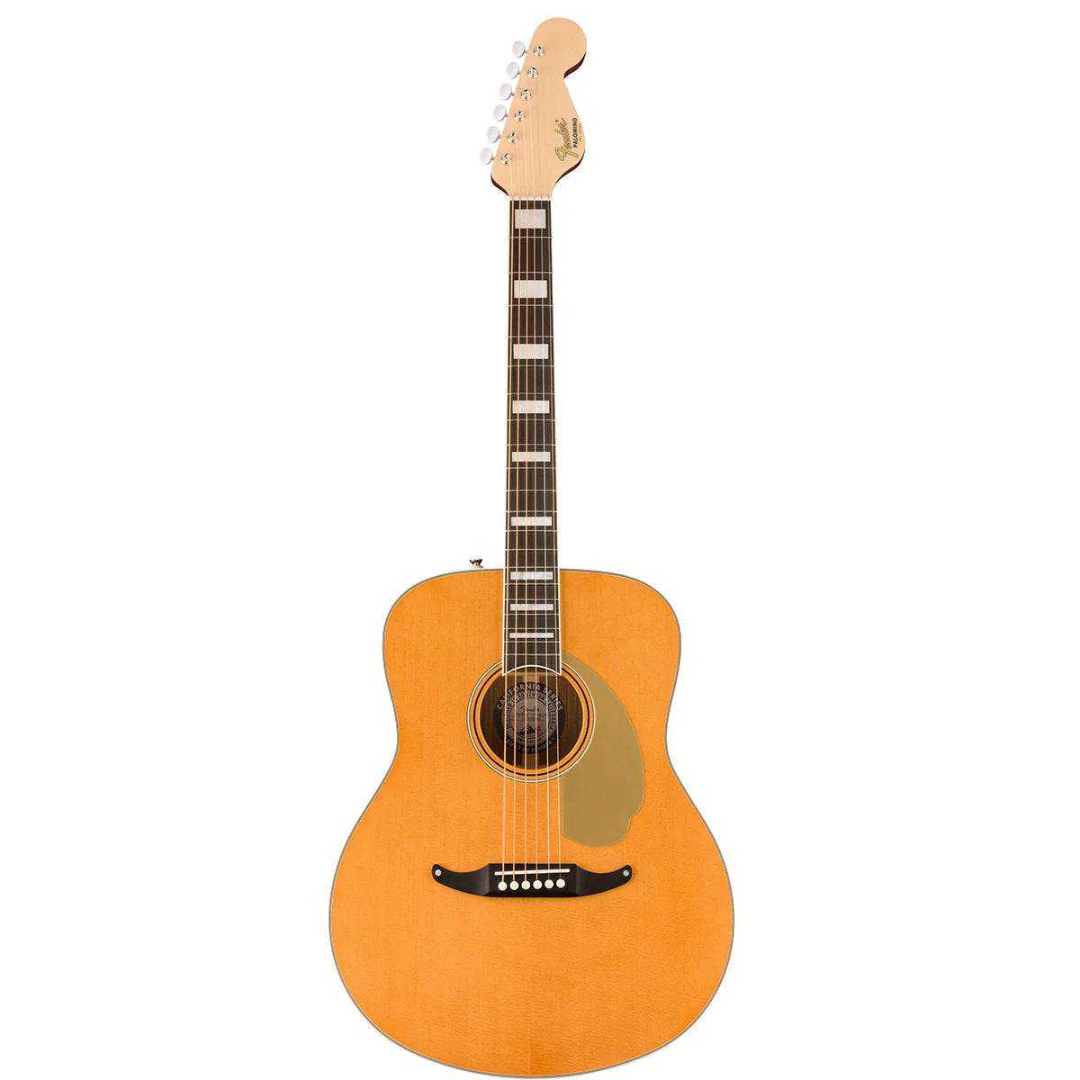 Đàn Guitar Acoustic Fender Palomino Vintage