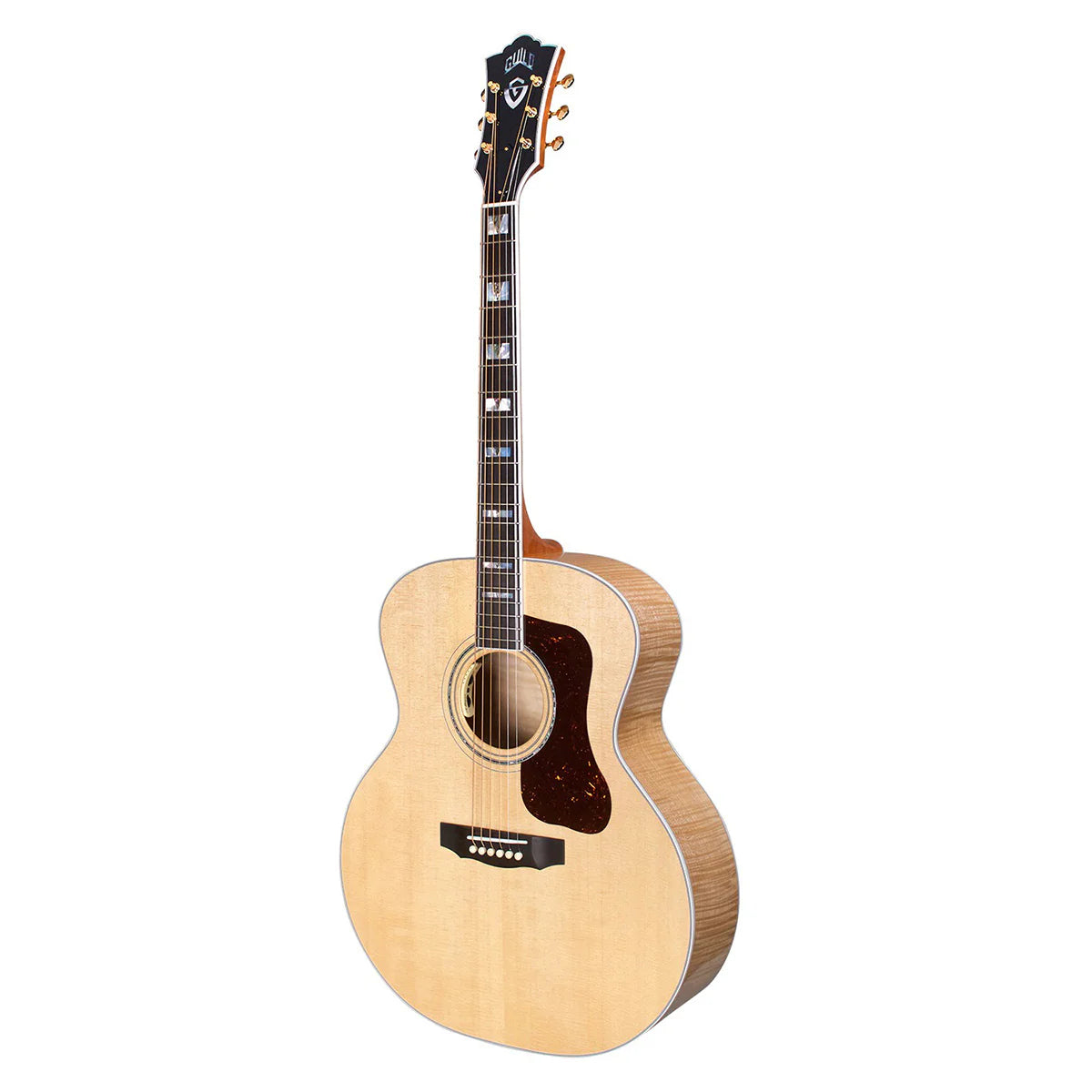 Đàn Guitar Acoustic Guild F55E Maple