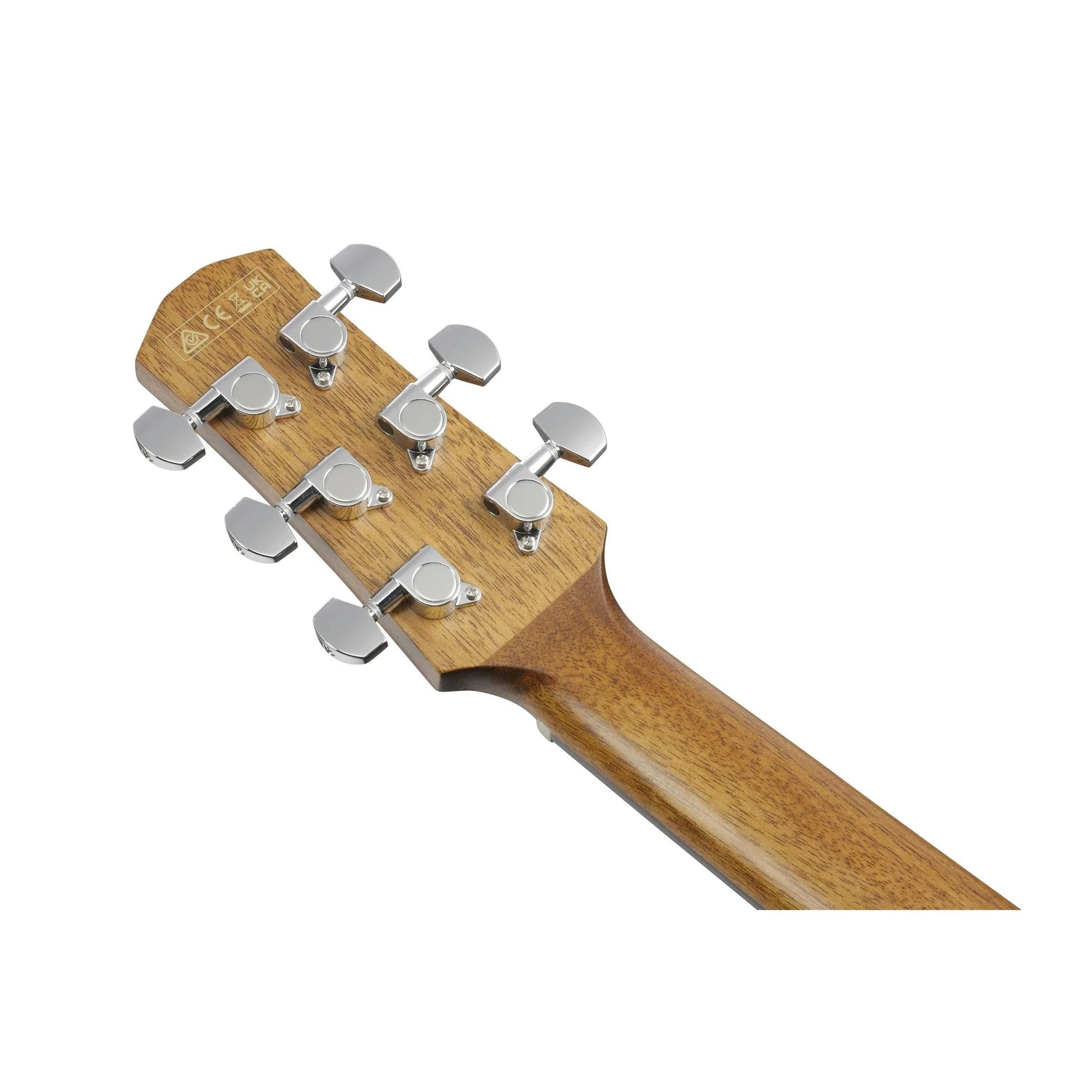 Đàn Guitar Acoustic Ibanez AAM70CE