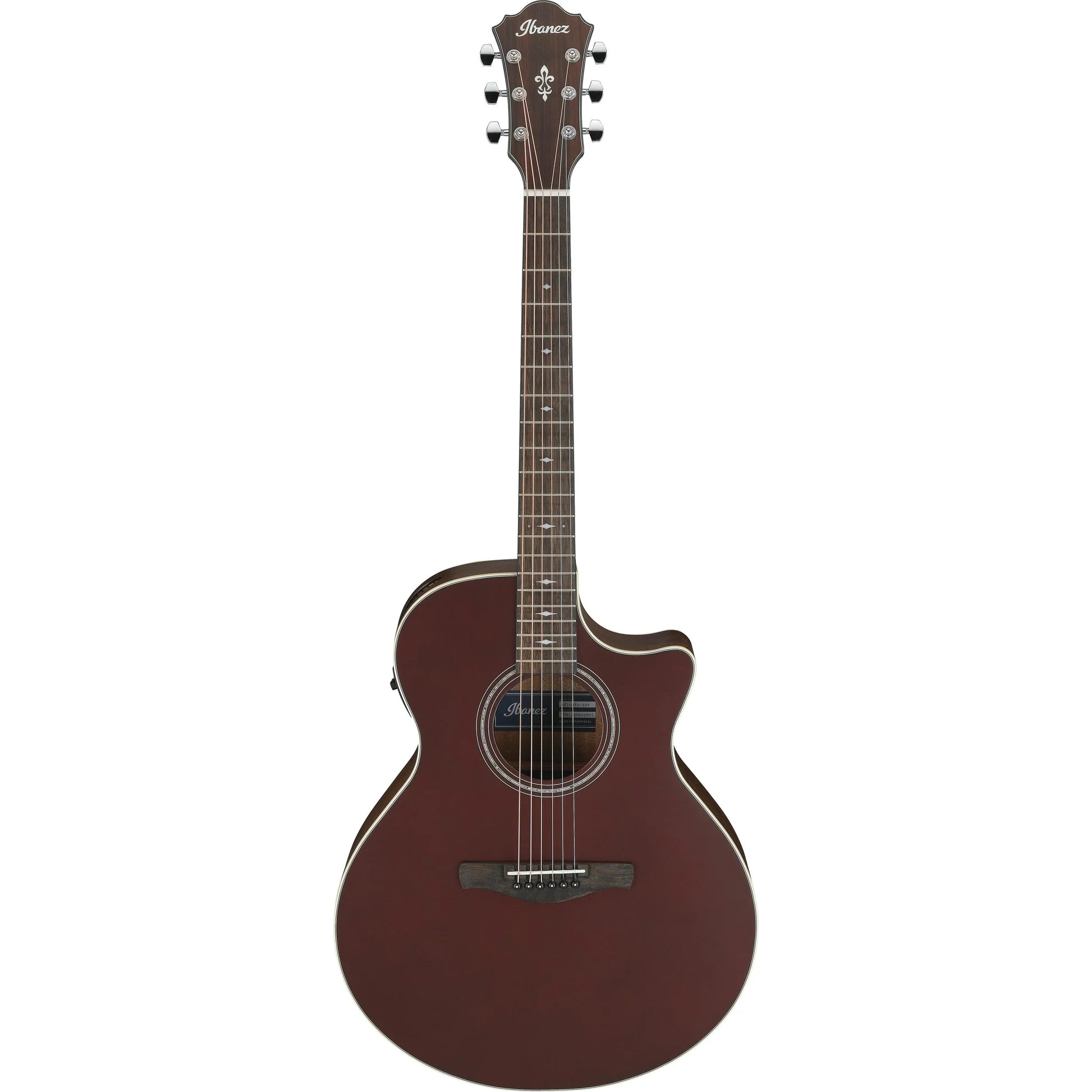 Đàn Guitar Acoustic Ibanez AE100