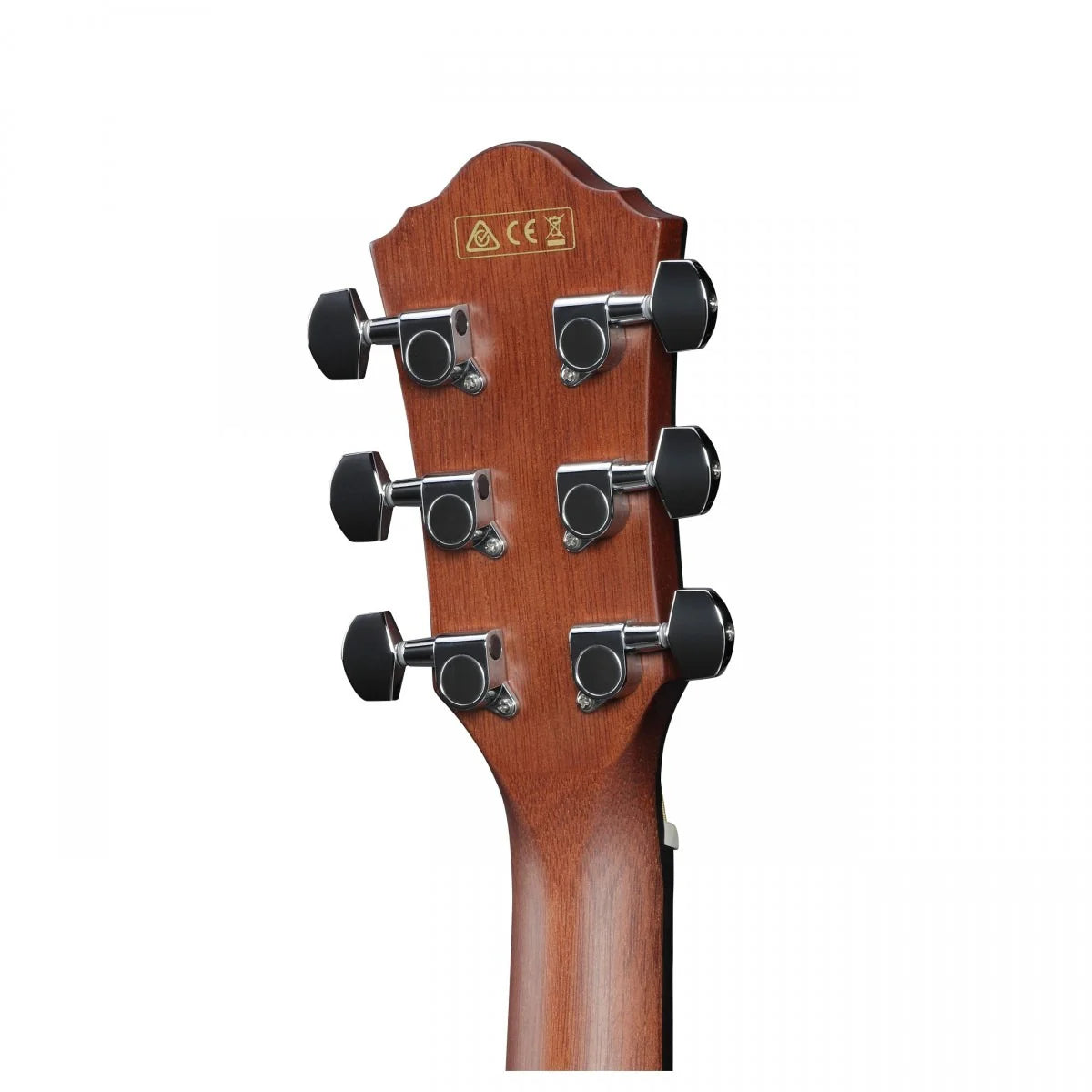 Đàn Guitar Acoustic Ibanez AEWC11