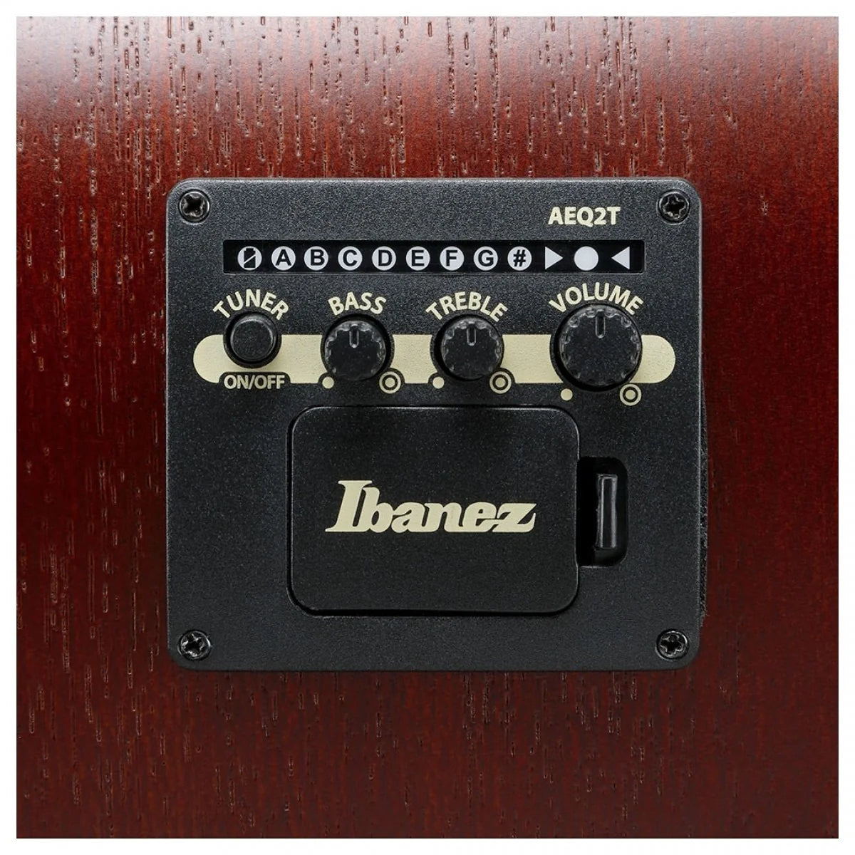 Đàn Guitar Acoustic Ibanez PJ50E, Open Pore Vintage Amber Sunburst