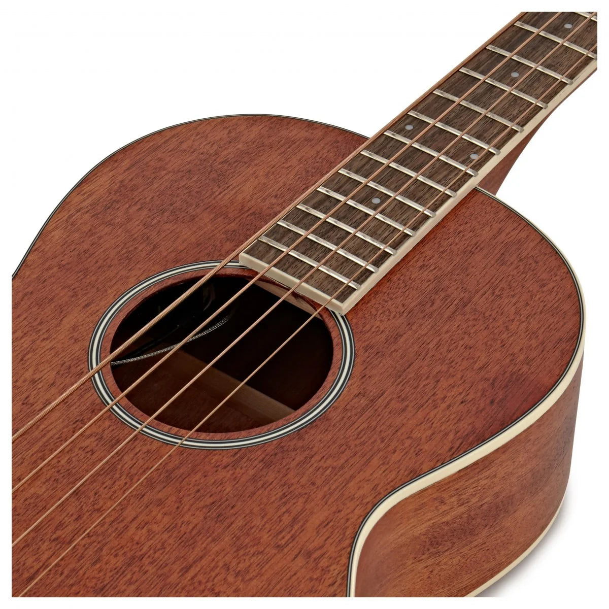 Đàn Guitar Acoustic Ibanez PNB14E, Open Pore Natural