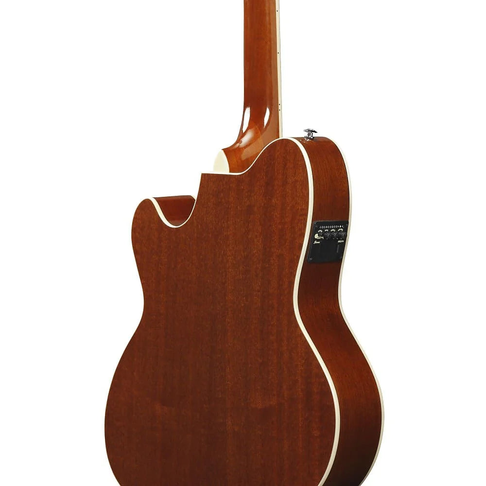 Đàn Guitar Acoustic Ibanez TCM50