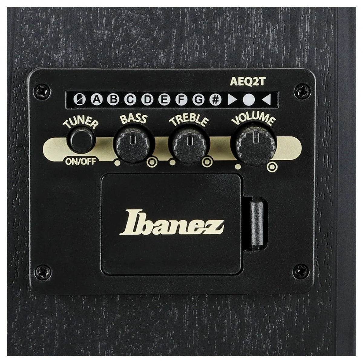 Đàn Guitar Acoustic Ibanez Talman TCY621, Blackout