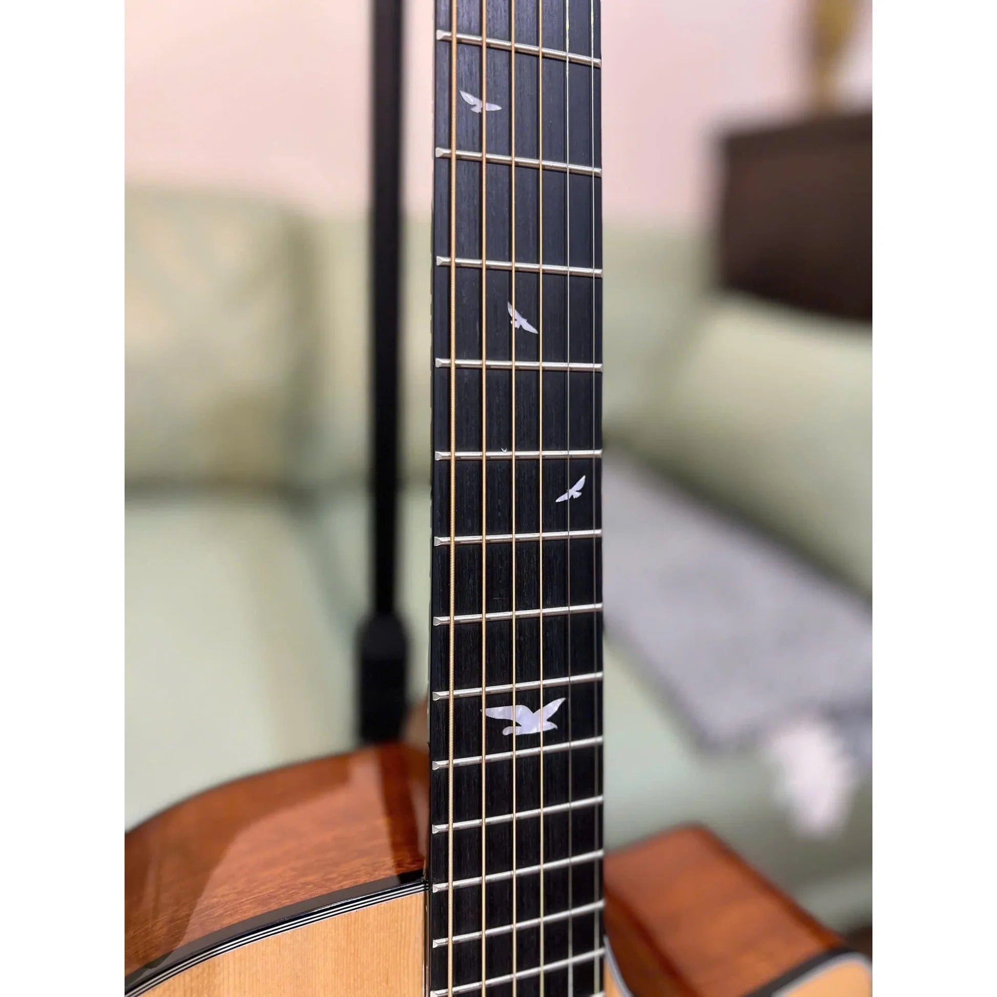 Đàn Guitar Acoustic Murcia AS10CE