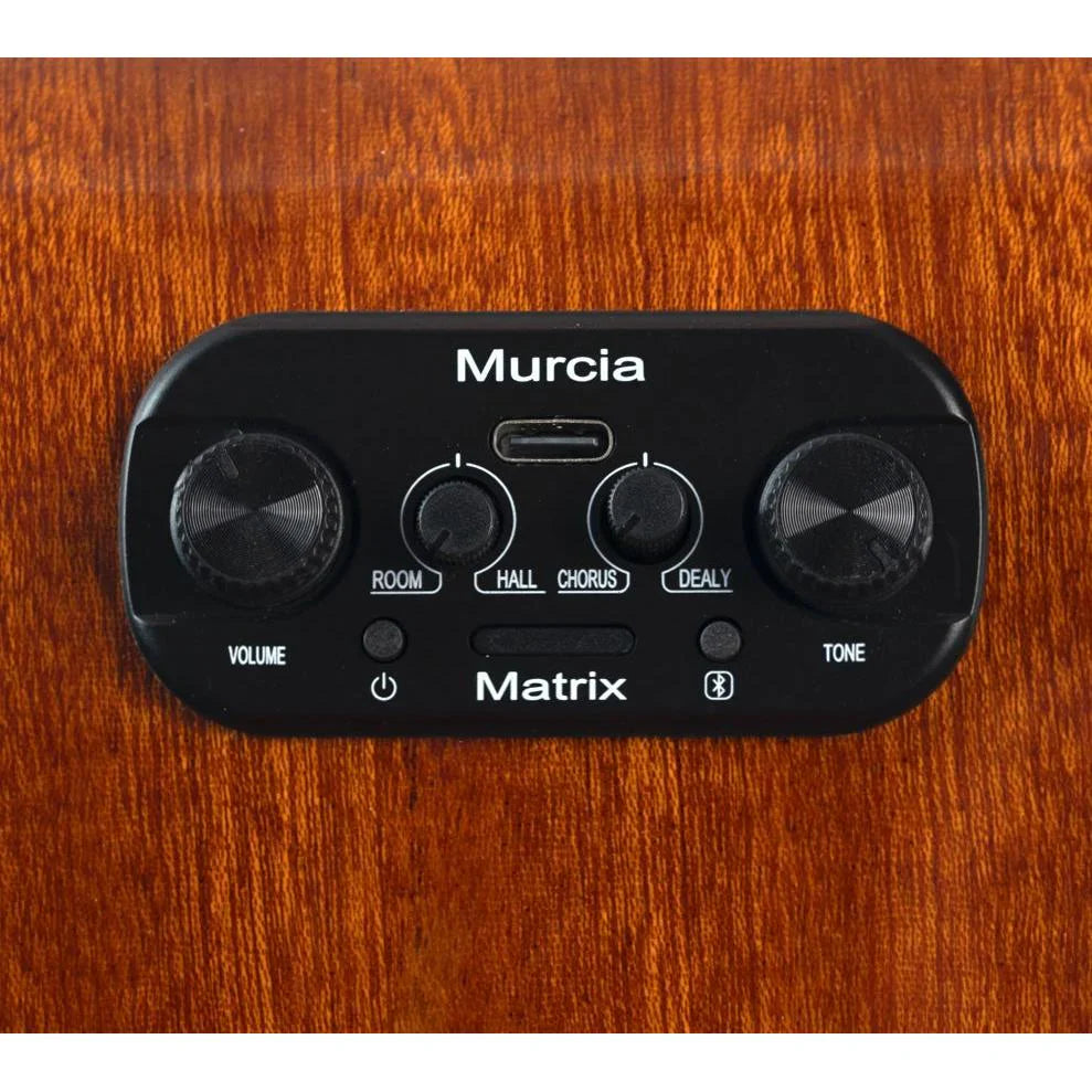 Đàn Guitar Acoustic Murcia AS10CE