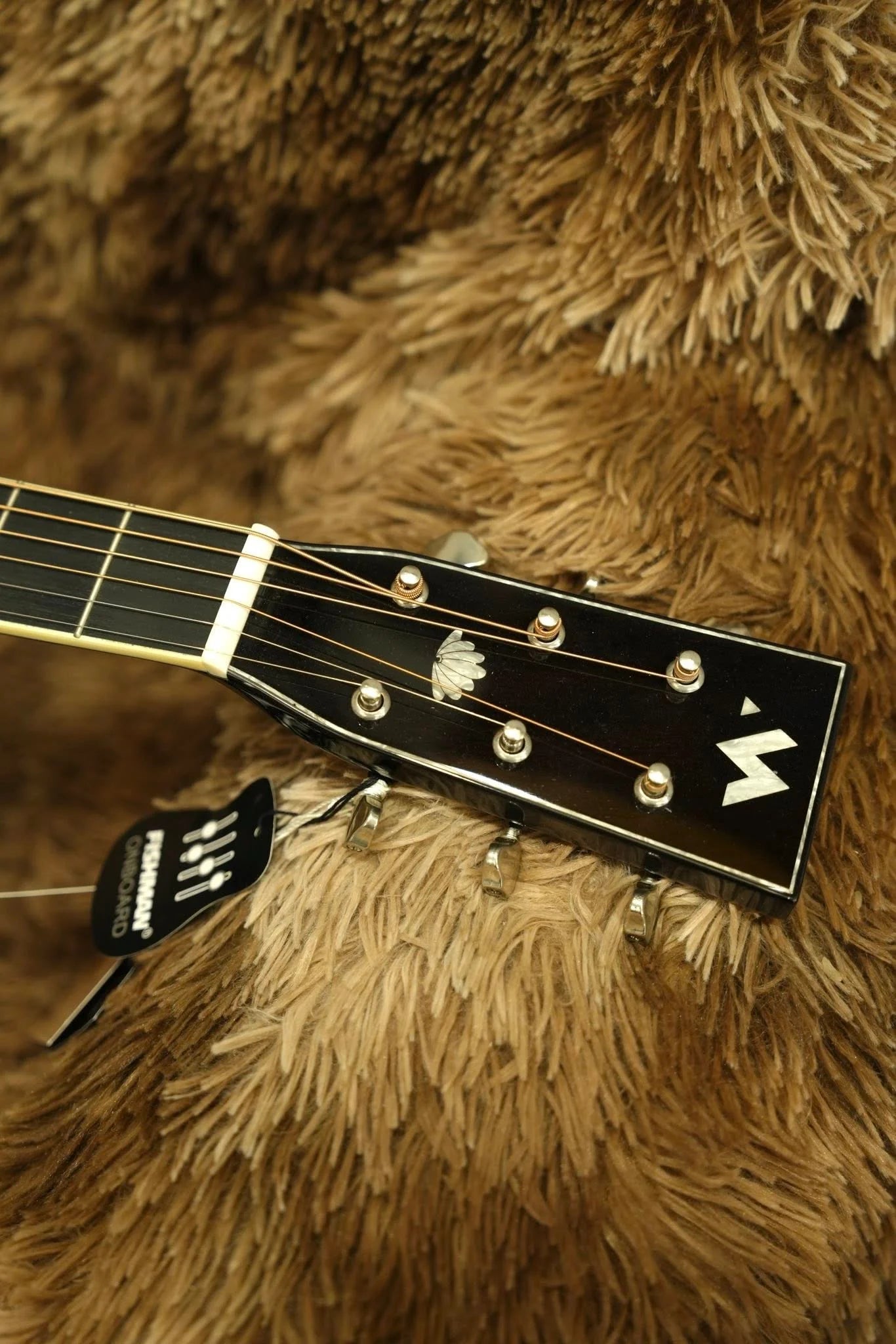 Đàn Guitar Acoustic Murcia AS30CE
