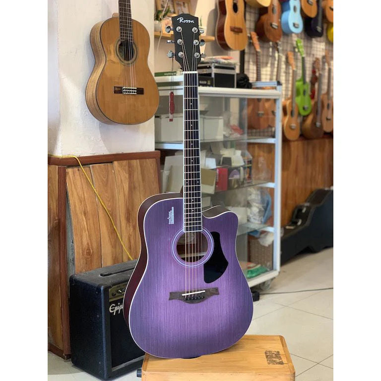 Đàn Guitar Acoustic Rosen G11CS